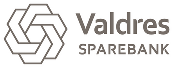 ValdresSpb_logo_gra